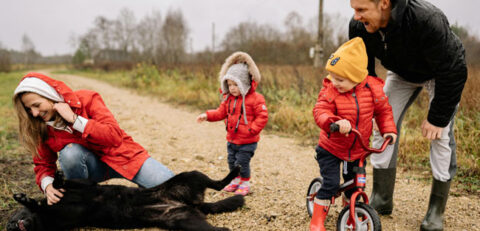 Αστική-Ευθύνη-Ιδιώτη